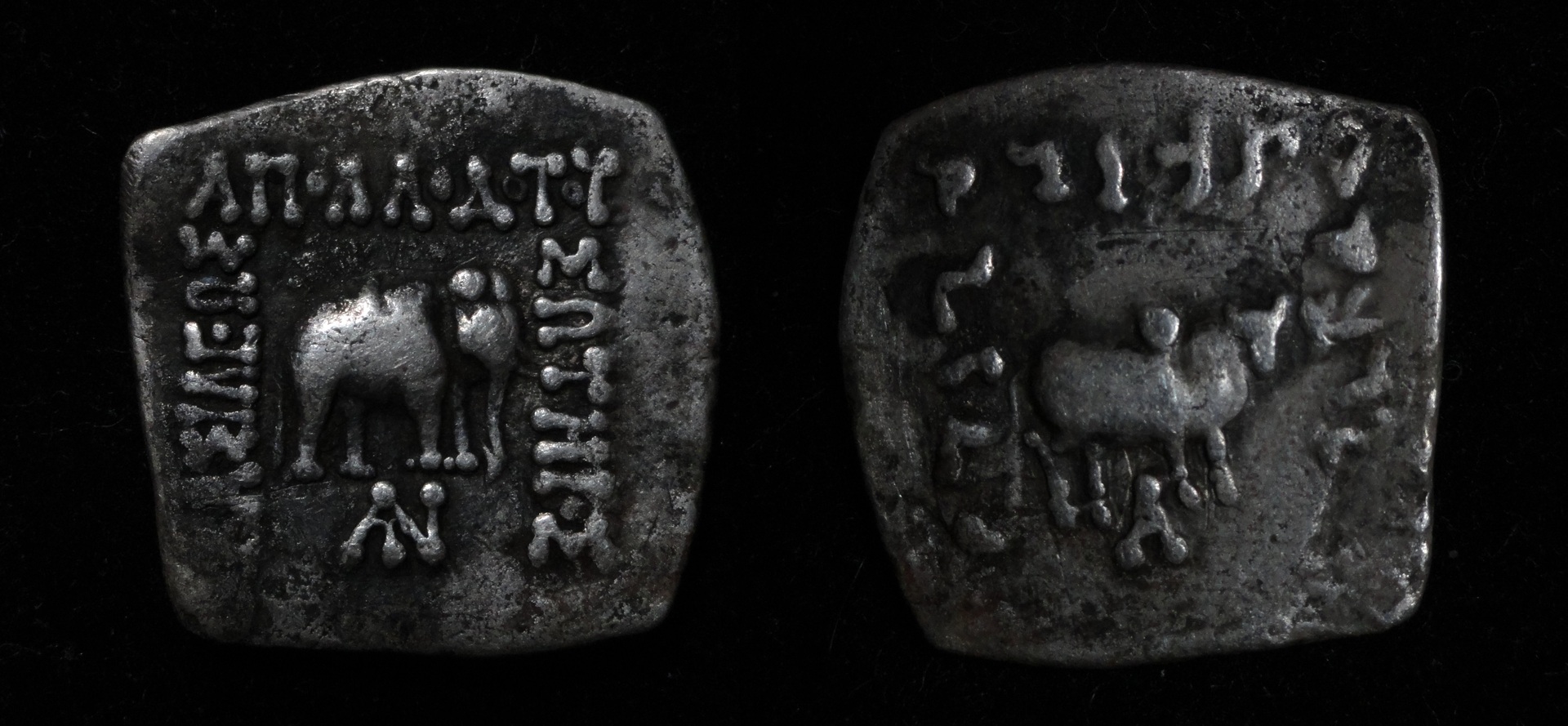 ApollodotosIndoDrachm174-165BC.jpg