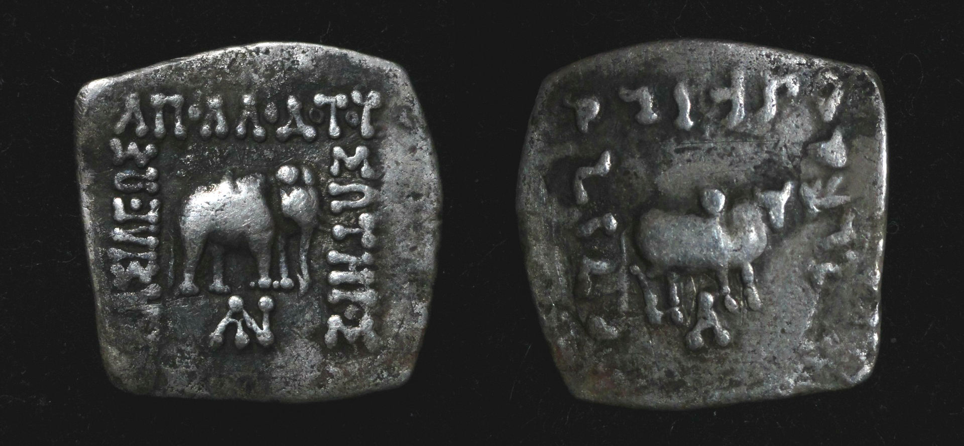 ApollodotosIndoDrachm174-165BC.jpg