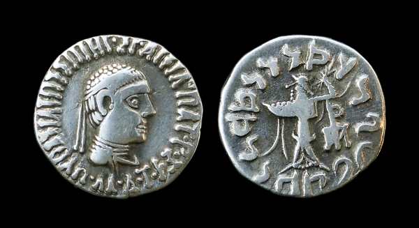 apollodotus 6.jpg