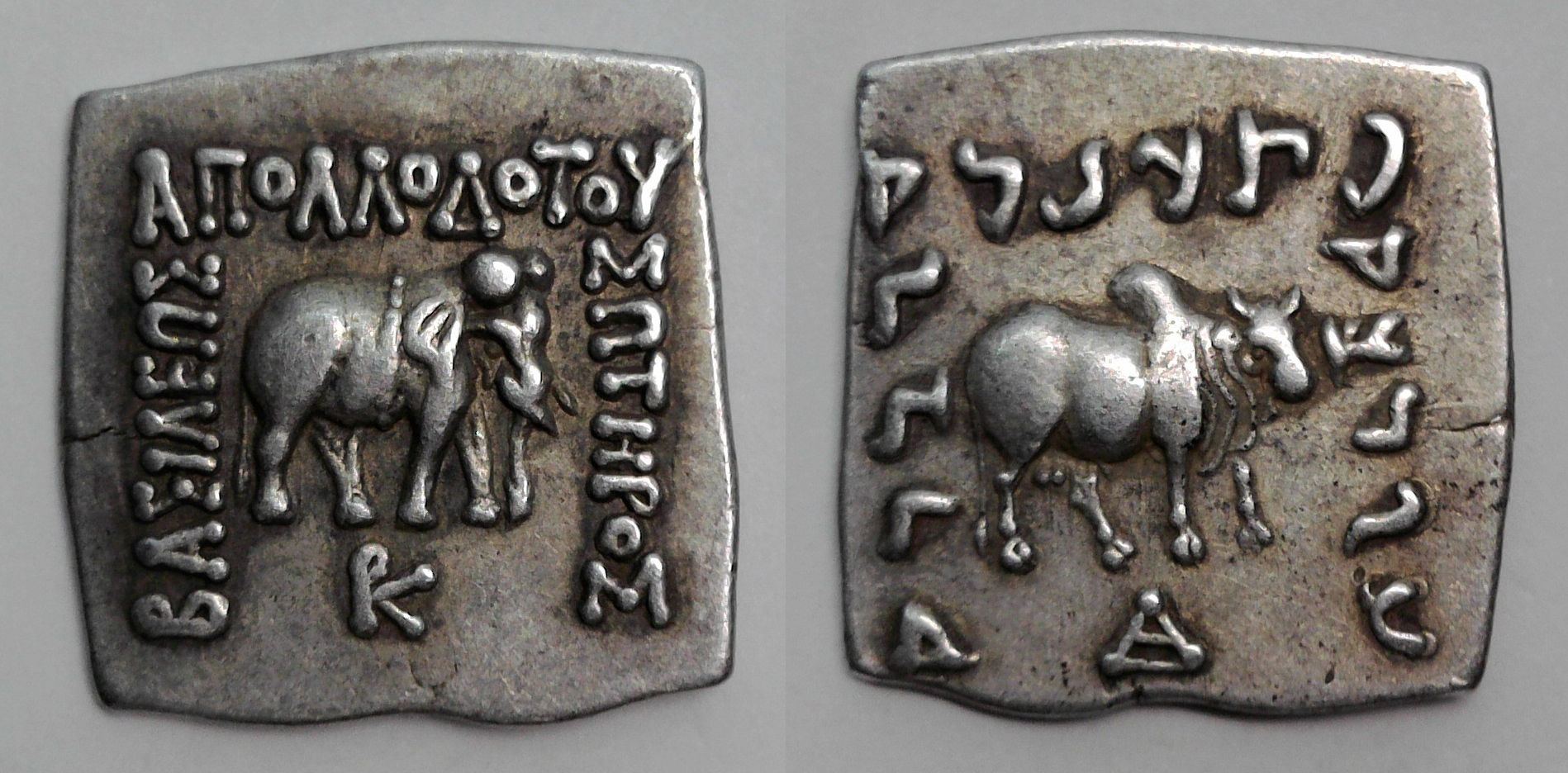 Apollodotus Elephant.jpg