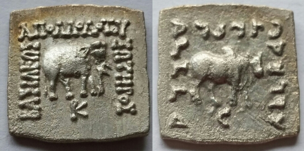 Apollodotus I square drachm elephant bull.jpg