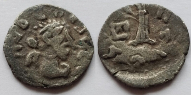 Apollodotus ii barb imitation.jpg