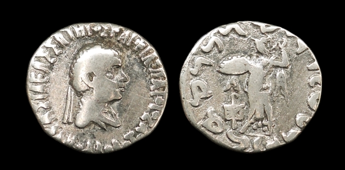 apollodotus_7.jpg