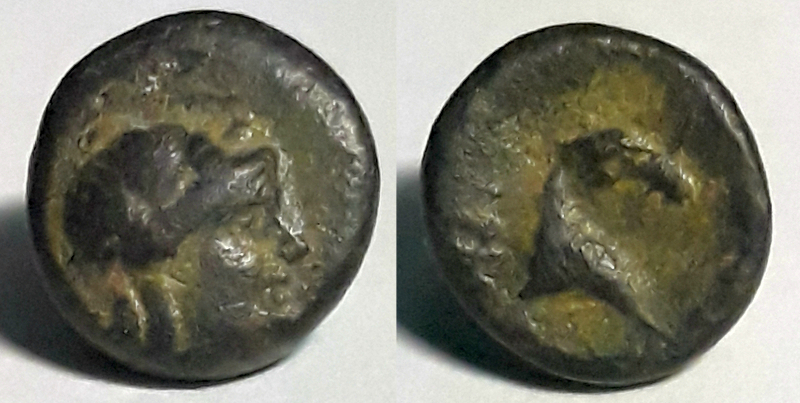 apollohorse.jpg