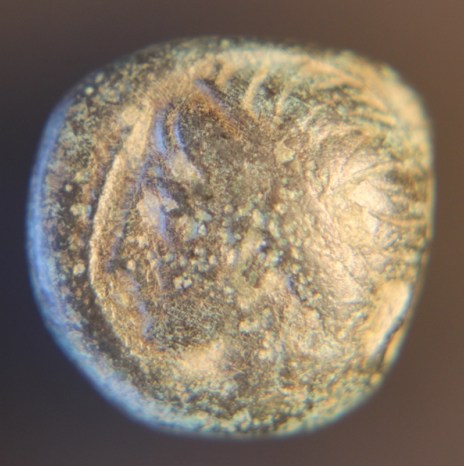 Apoollo ll 002_opt.jpg