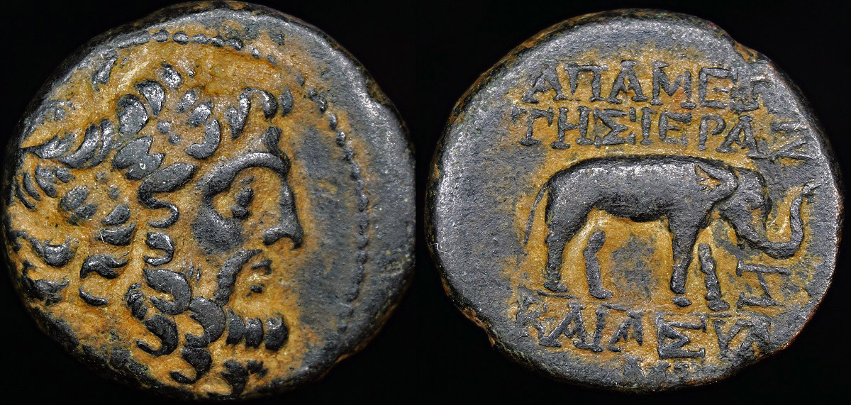 appameia ae 1a.jpg