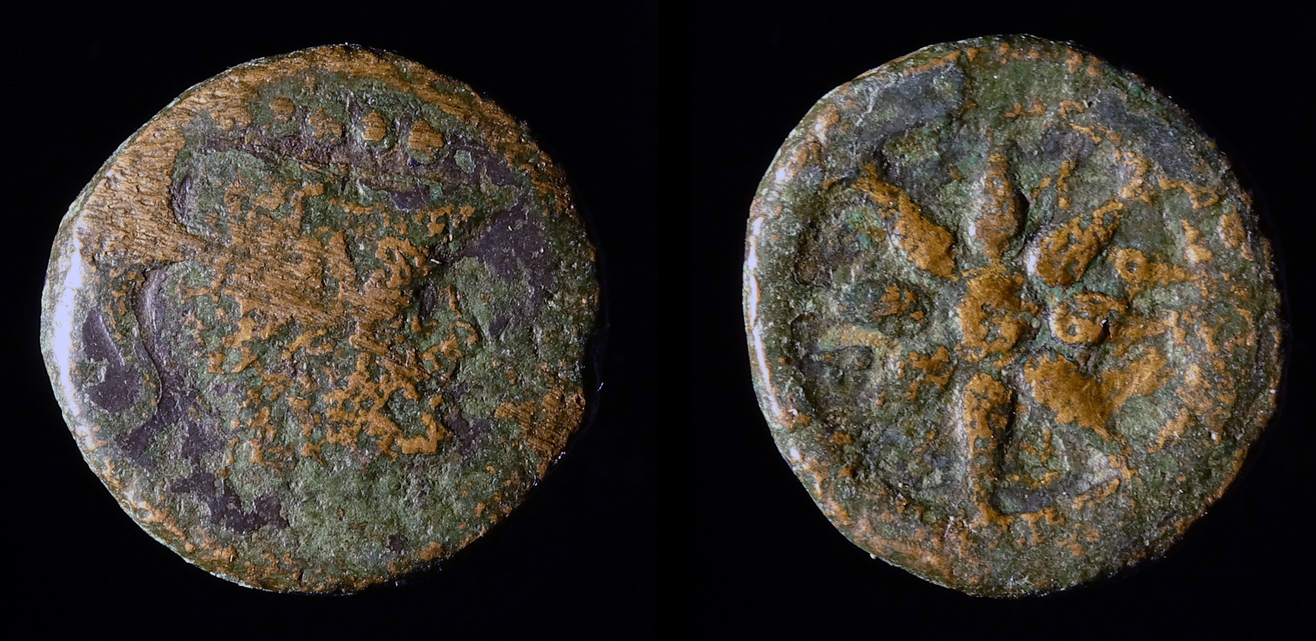 Apulia Luceria quincunx sng ans 699 1B-071.jpg