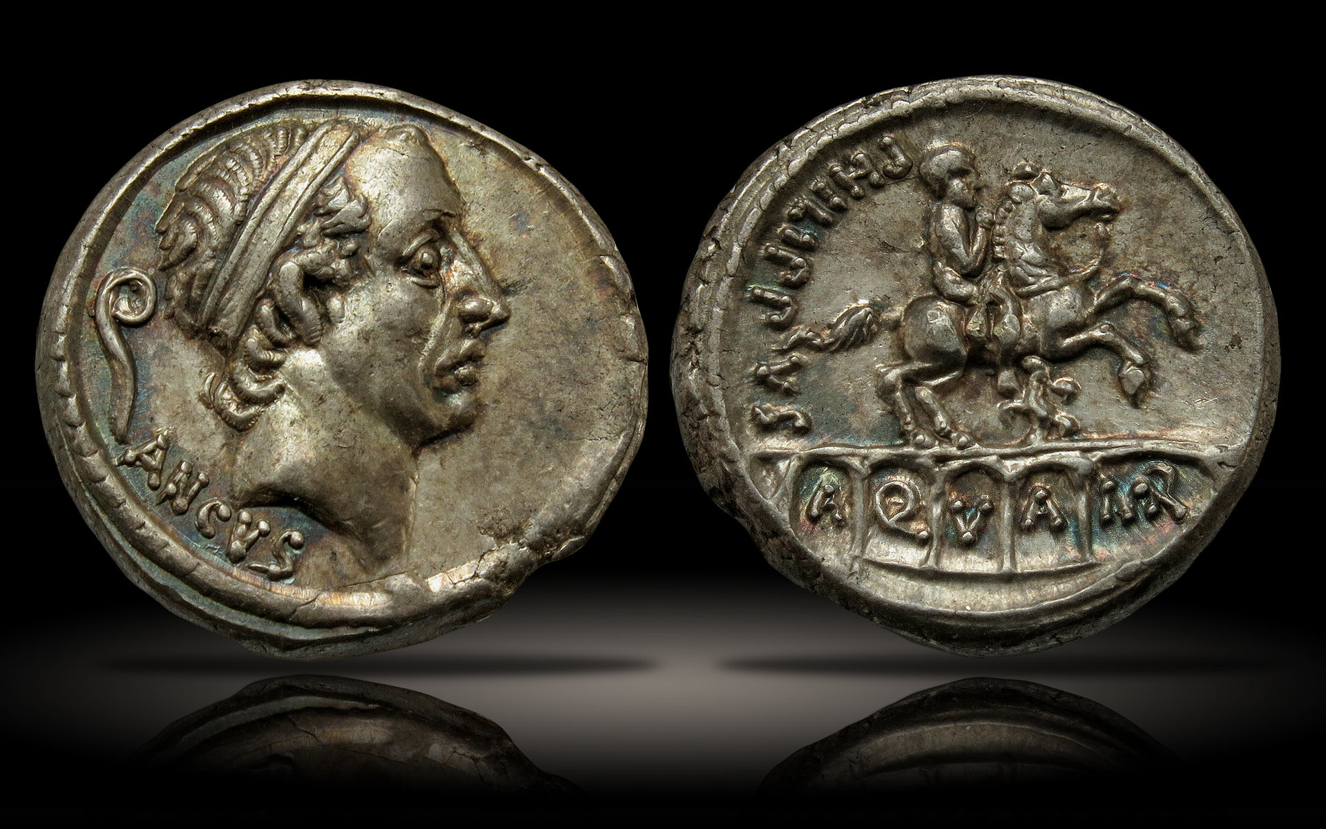 AquaMar copy.jpg