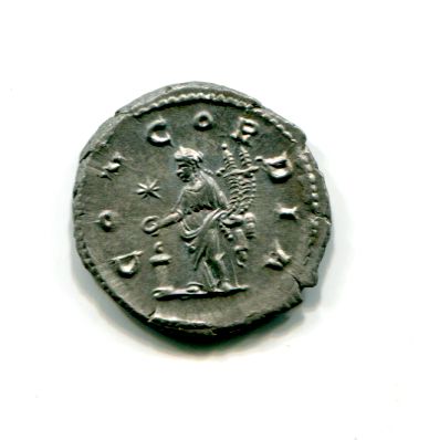 Aquilia Severa ric 225 denier 3,32gr Revers .jpg