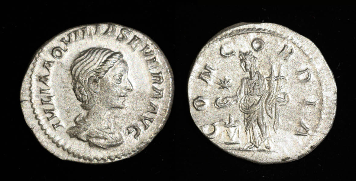 AquilSev-den1-sm.jpg