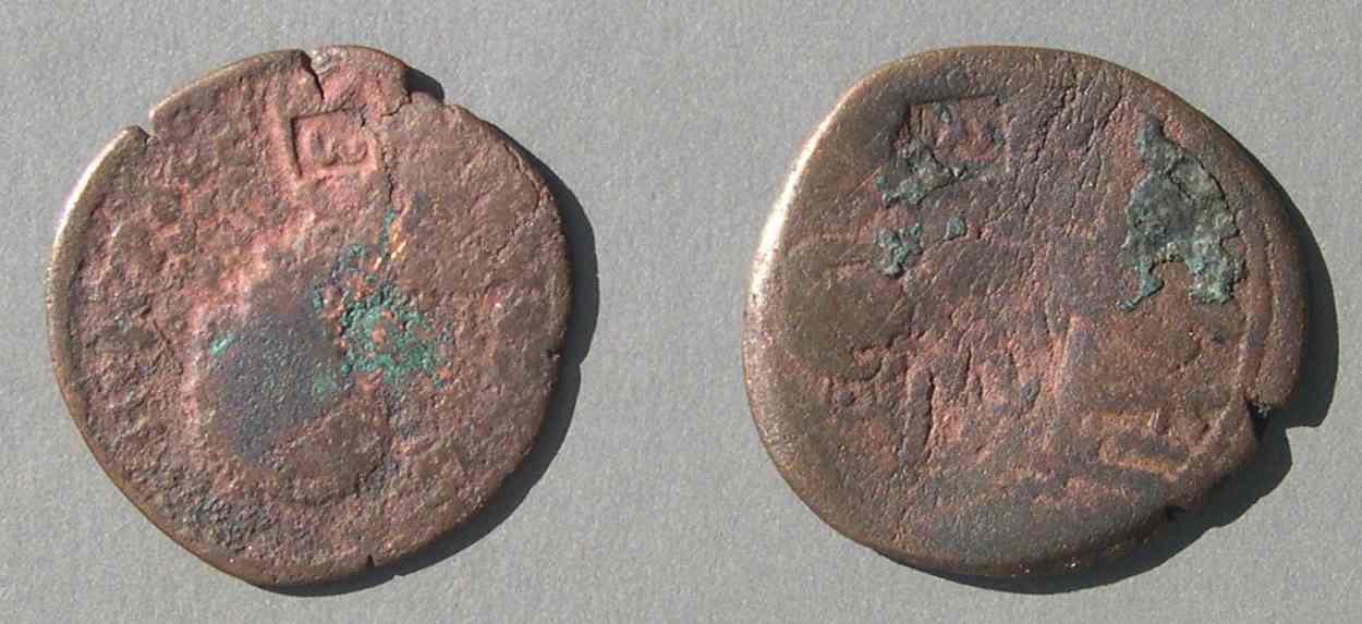 Arabcm5521.jpg