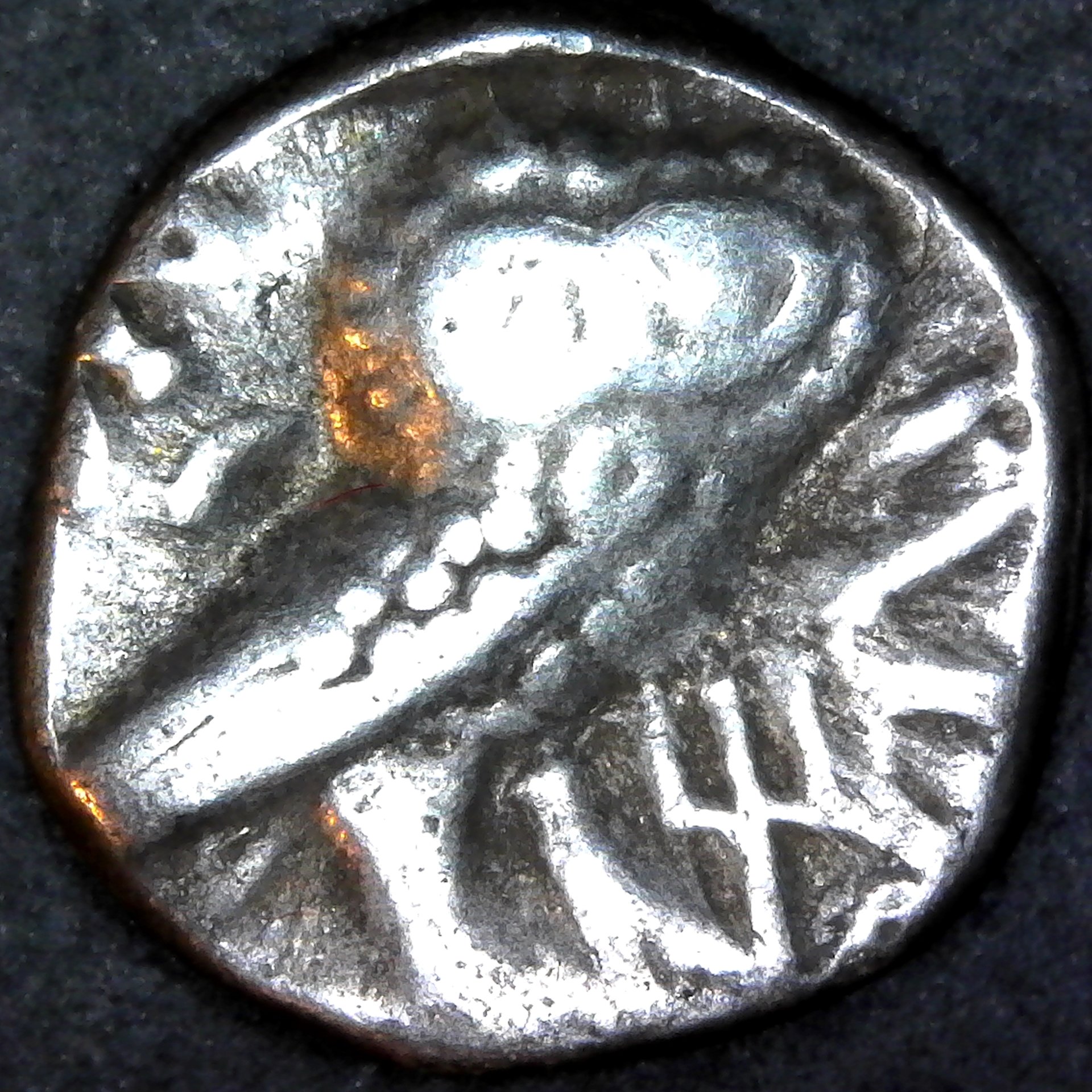 Arabian Qataban Hemidrachm 350-300 BC obv A.jpg