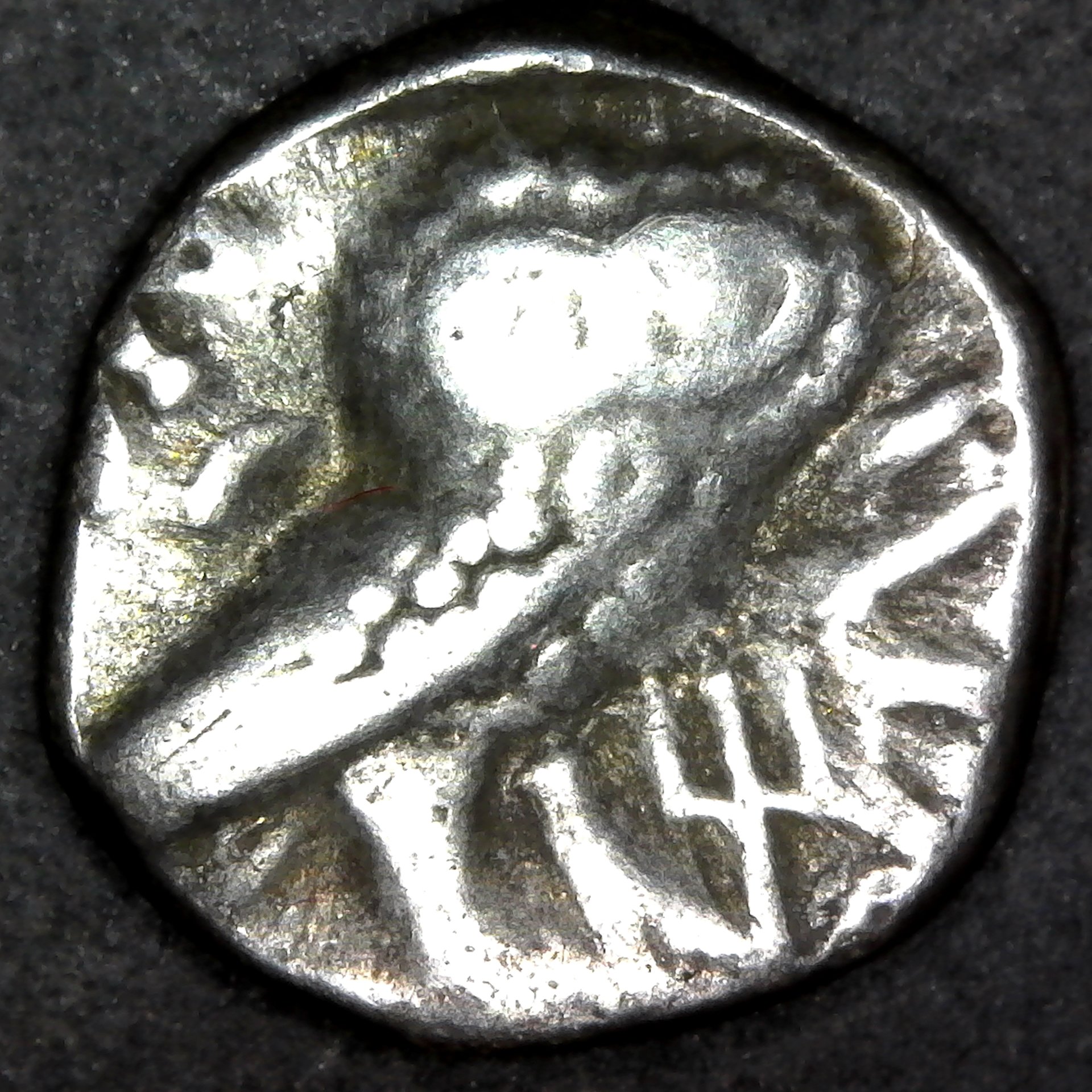 Arabian Qataban Hemidrachm 350-300 BC obv B.jpg