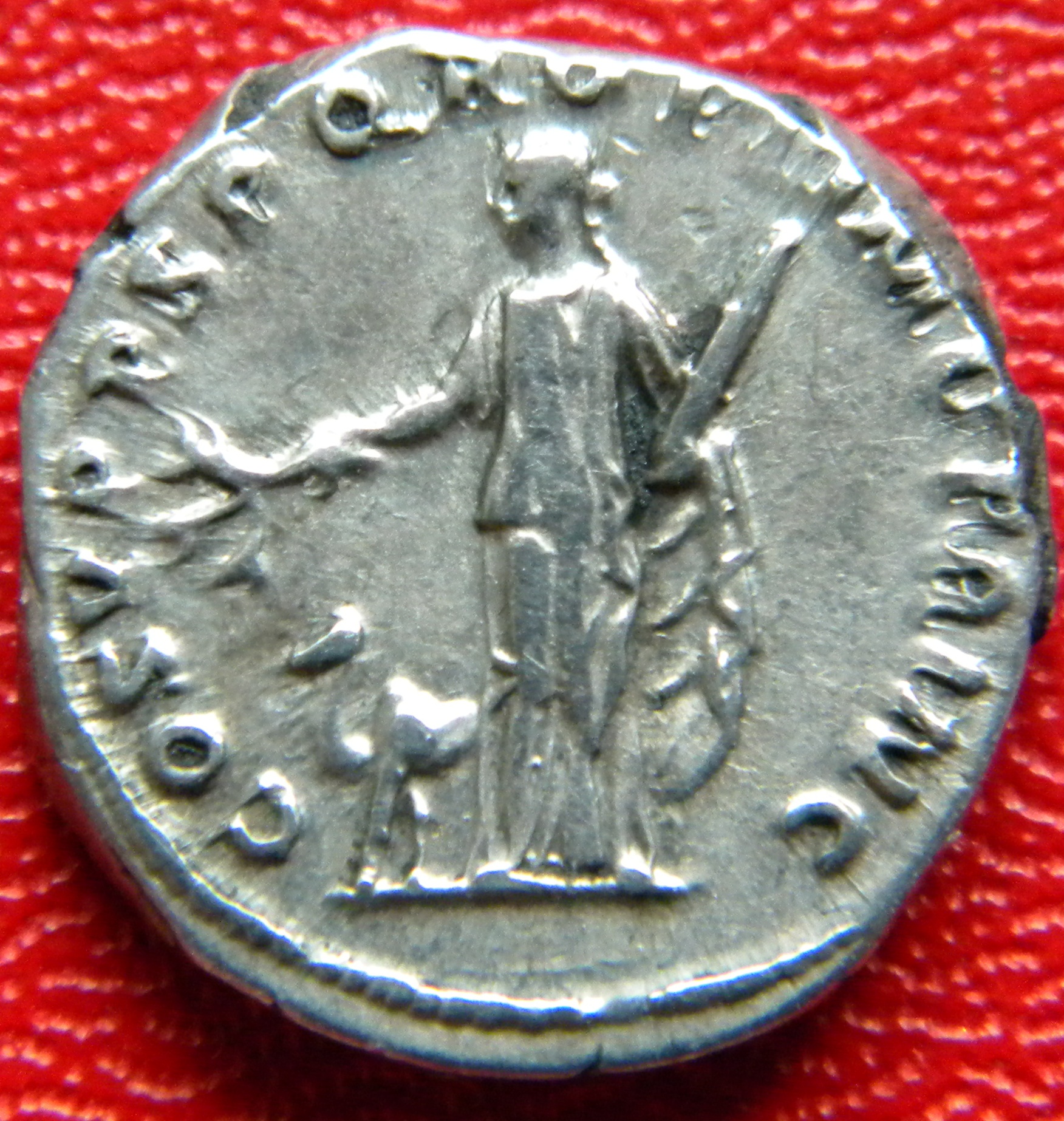 Arabiarev.jpg