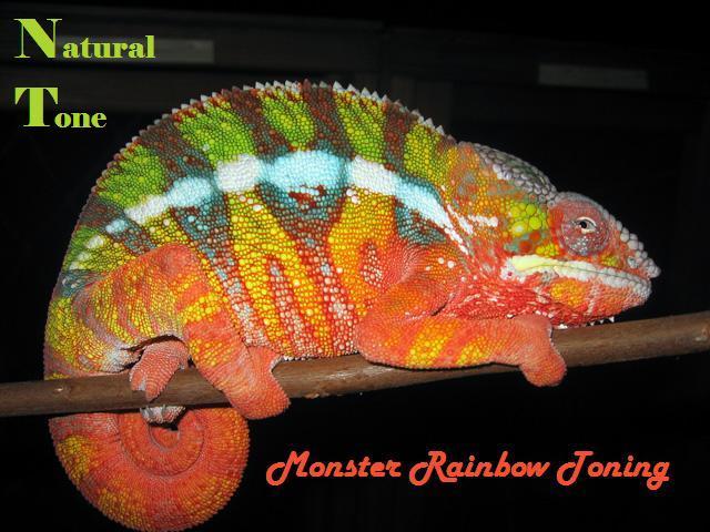 ARainbow_WoodenJefferson.jpg
