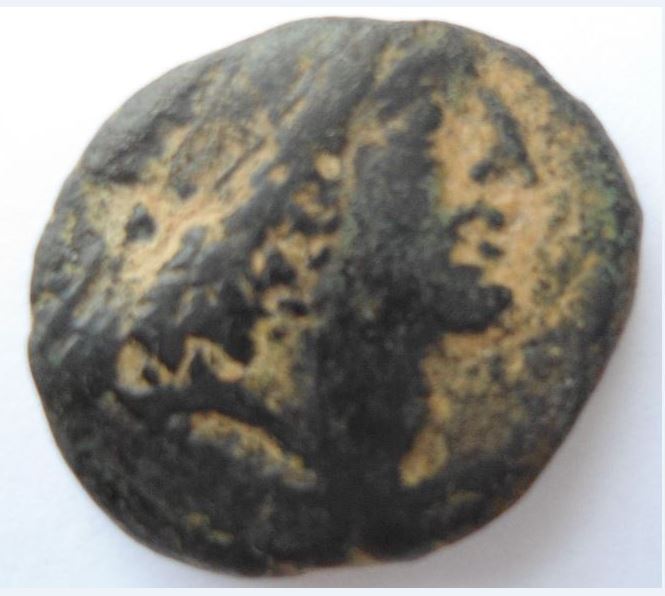 Arates3Nabat  damascus.JPG