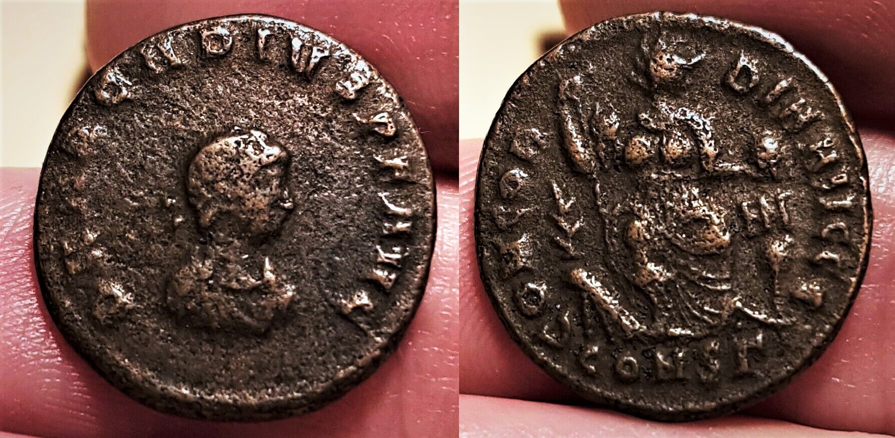 arcadius.jpg