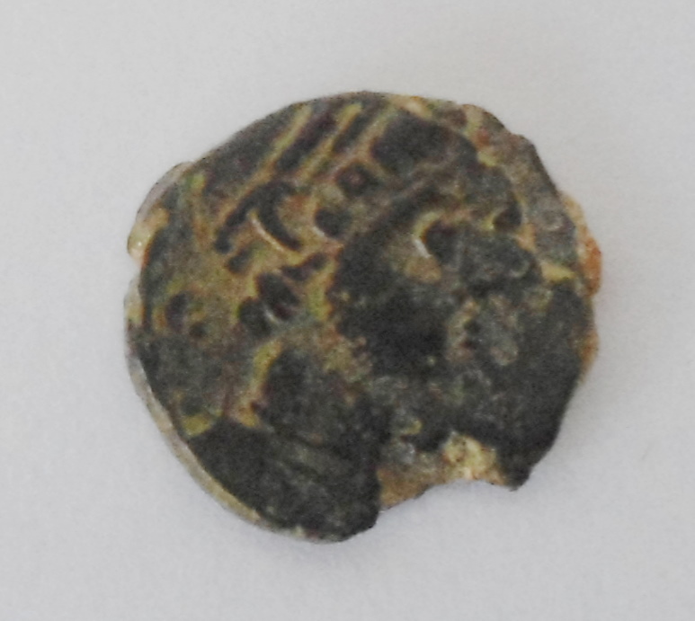 ArcaSal O       Cross.JPG