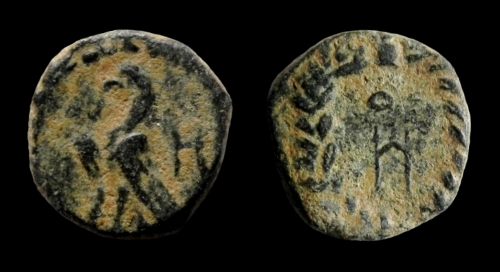 aretas eagle 3.jpg