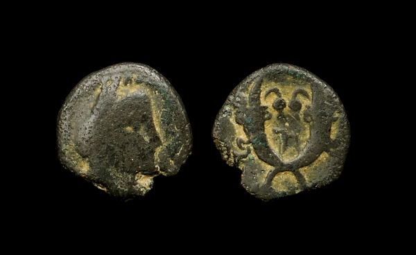 aretas lepton 6.jpg
