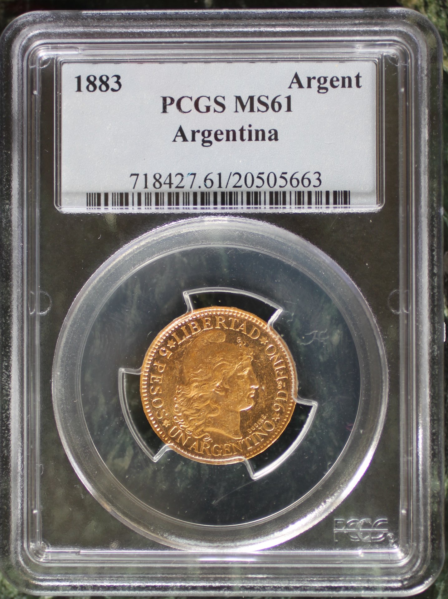 arg1883a.jpg