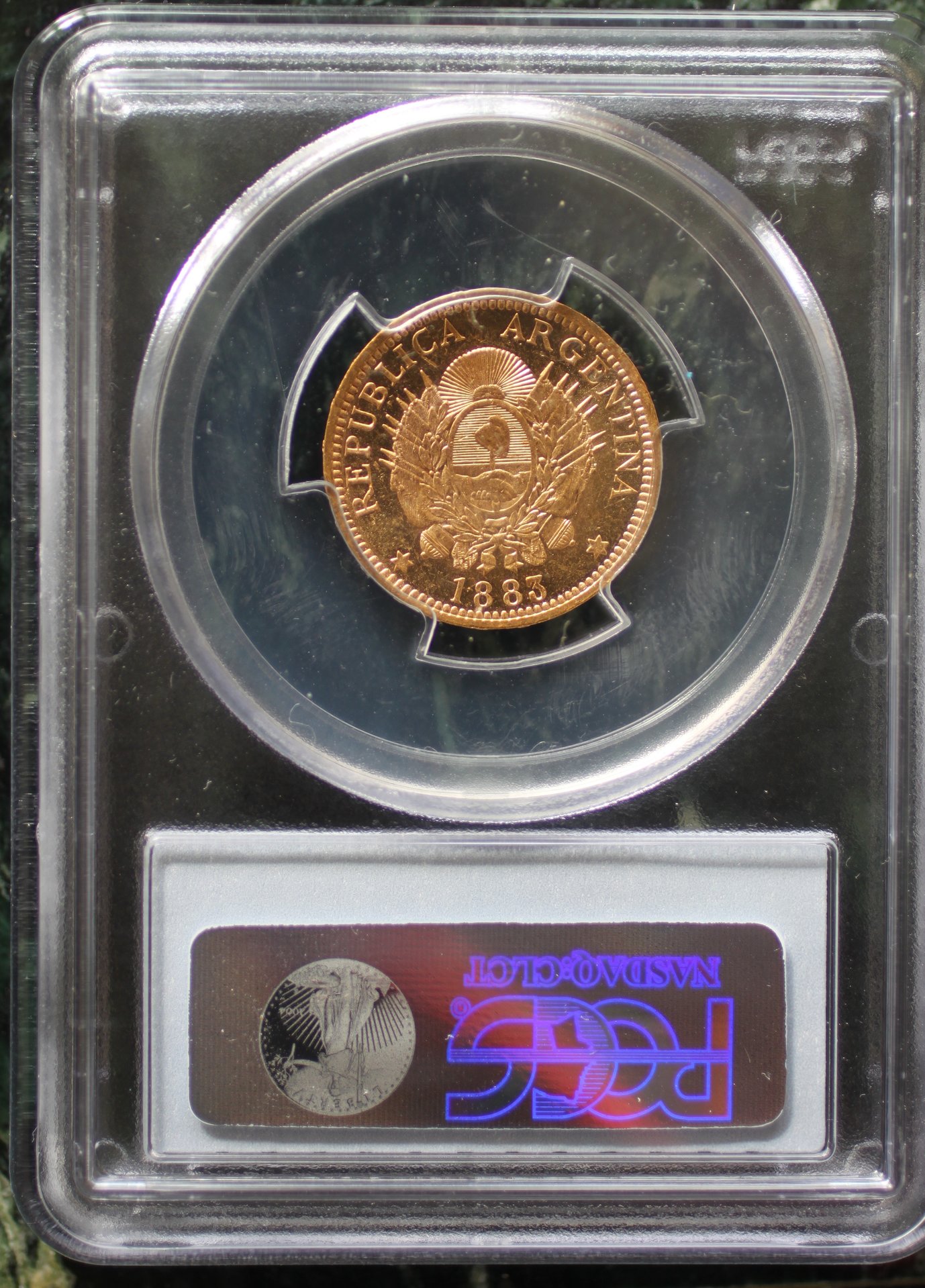arg1883b.jpg