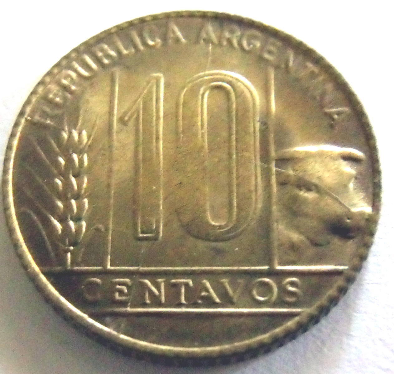 argentina-2.jpg