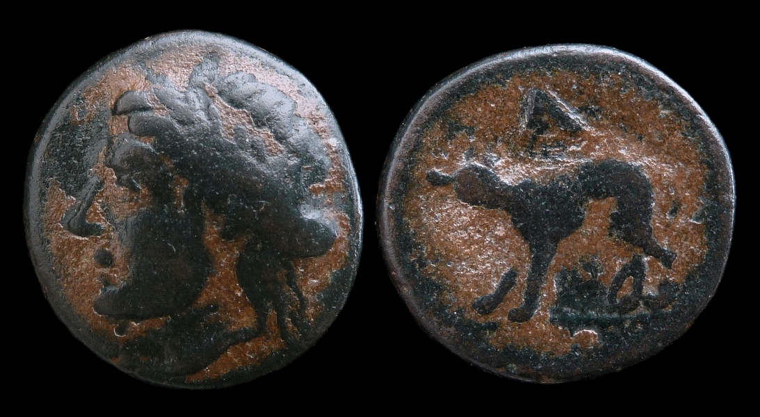 Argolis Argos - AE BCD.jpg