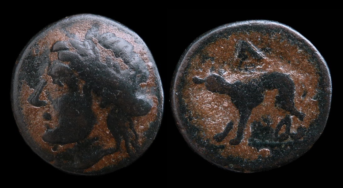 Argolis Argos - AE BCD.jpg