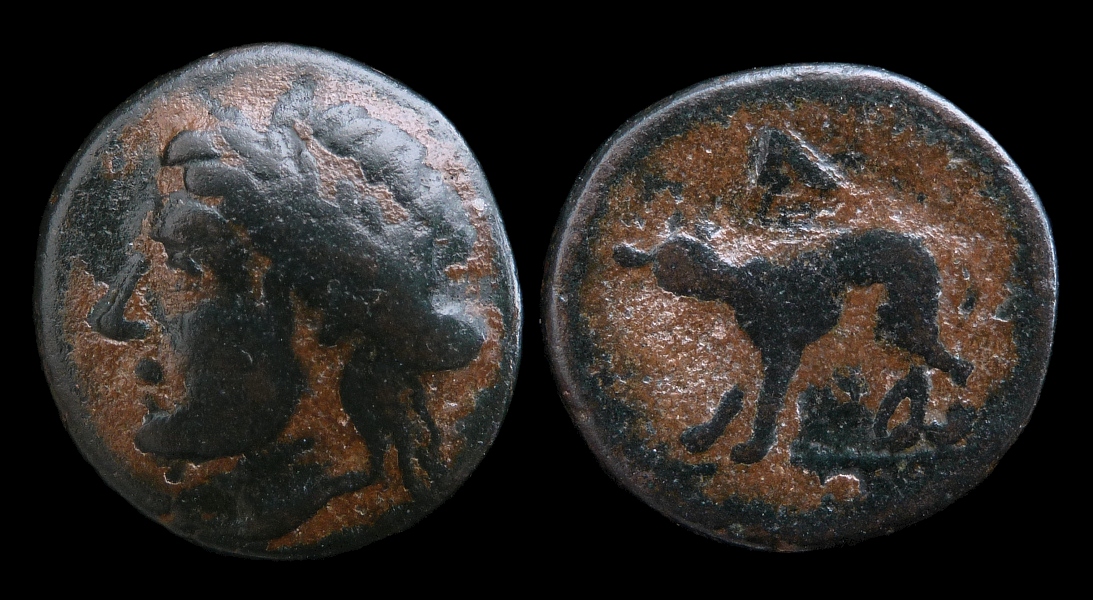 Argolis Argos - AE BCD.jpg