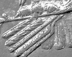 arrow claw 1.jpg