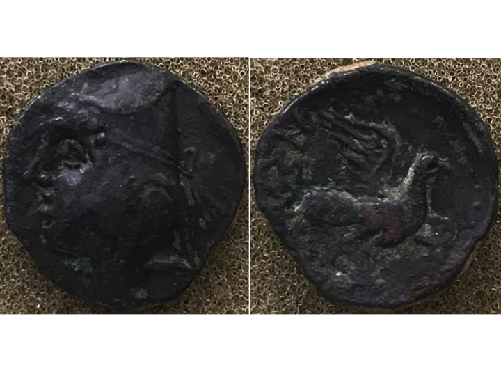 Arsakes II AE eagle.jpg