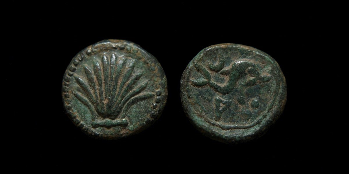 arse saguntum 2.jpg
