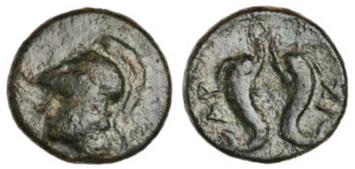 arsinoe.png