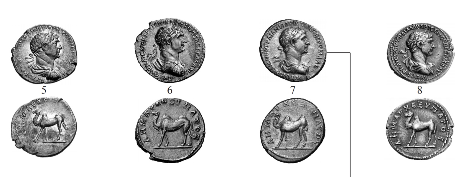 article re Trajan camel drachm - 5 examples of bust type f.jpg