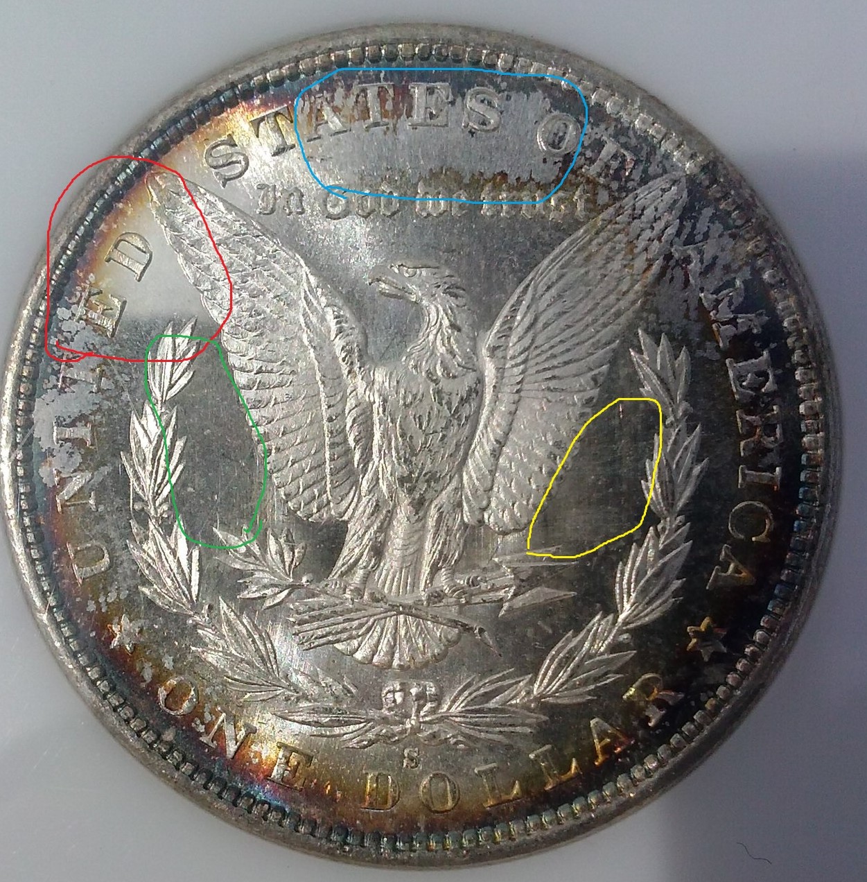 AS Morgan (2).jpg