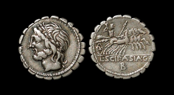 asiaticus 6.jpg
