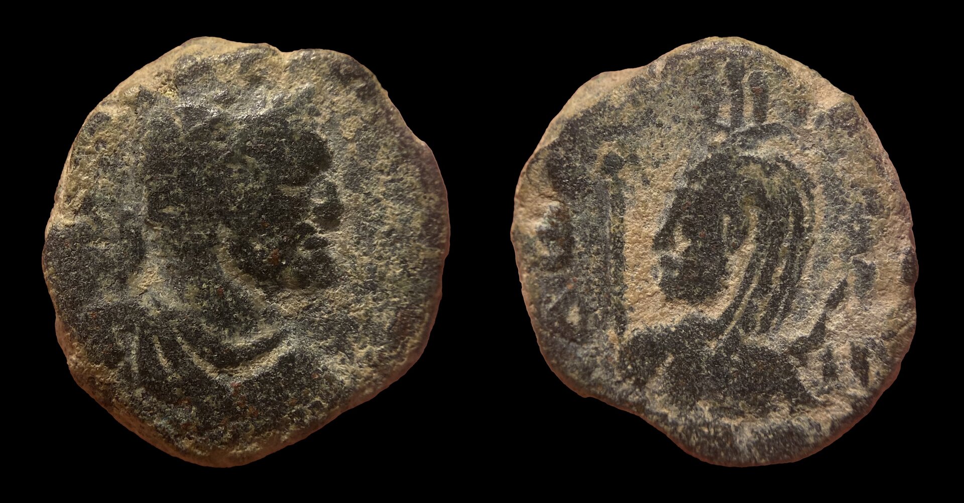 askelon.jpg