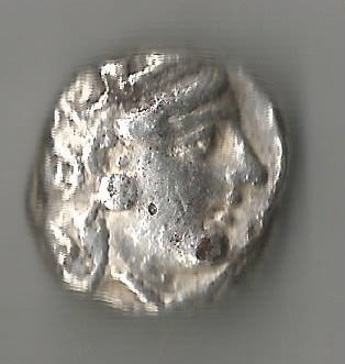 AthanOwl O 001.jpg