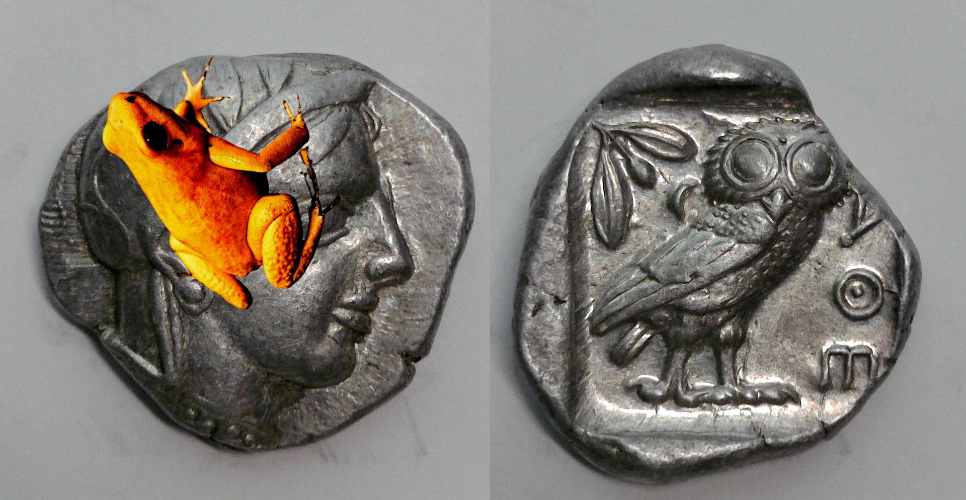 Athena and the frog.jpg