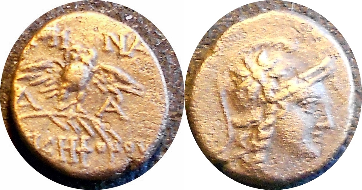 Athena cleaned back-horz.jpg