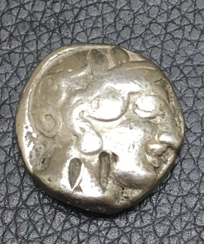 athena face.jpg