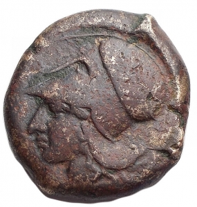 Athena Hippocamp Timtinna 70.jpg