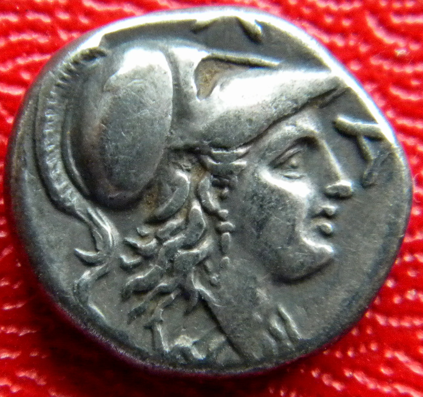Athena.jpg