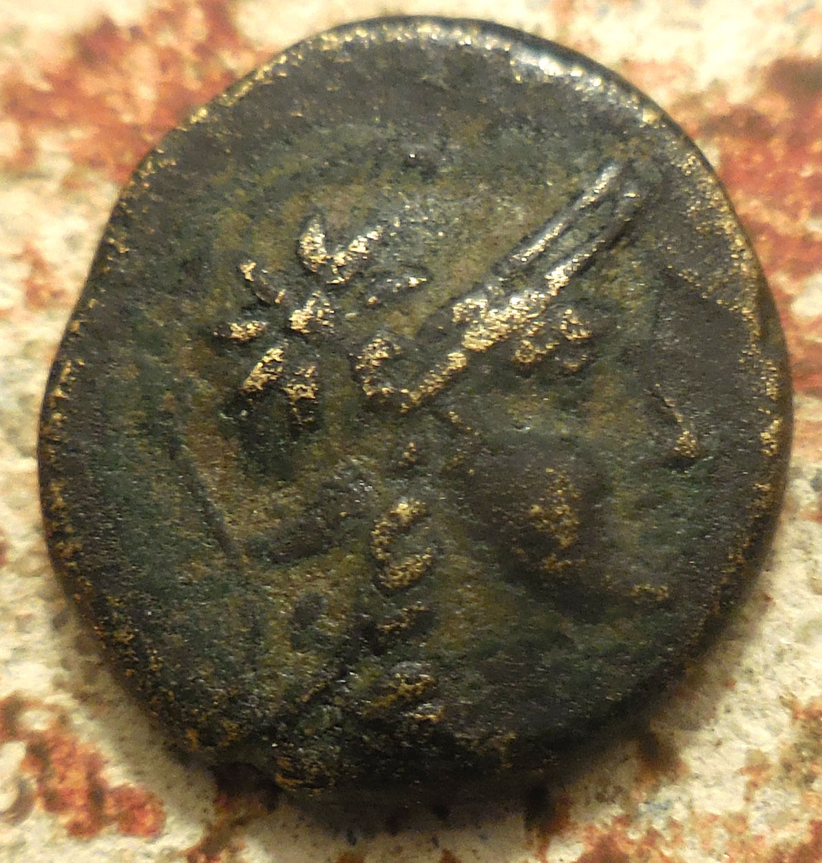 Athena-Owl Front.jpg
