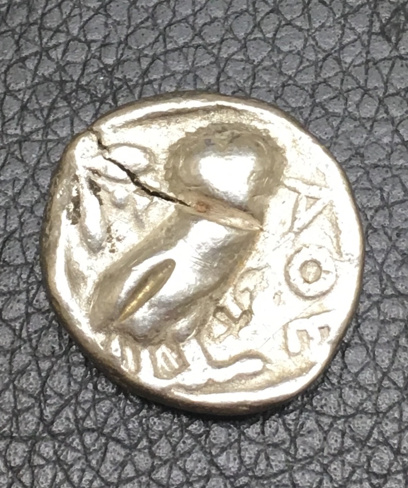 athena owl.jpg