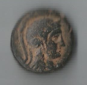 AthenaBull O  SC 125cf.jpg