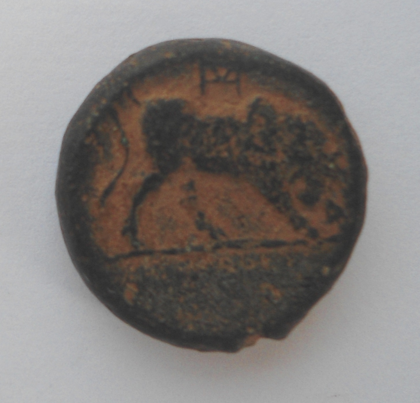 AthenBull R.JPG