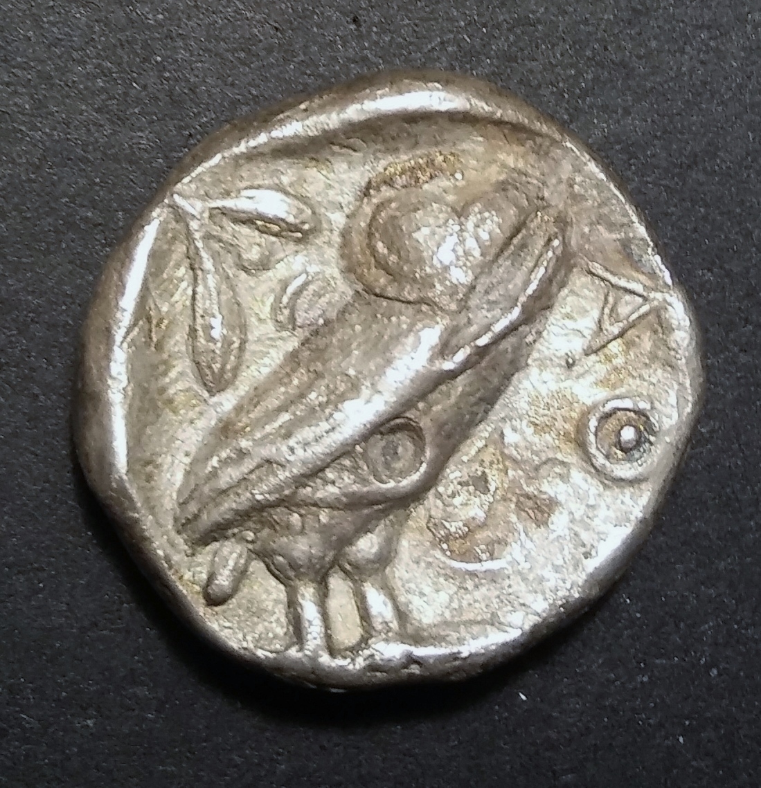 Athenian Owl R1.jpg