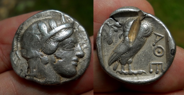athens owl 6.jpg